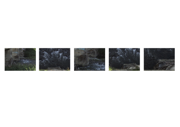 dissipazione (il linguaggio dei segni) - video frames 60x120 cm - 2014
